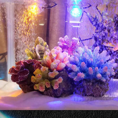 Aquarium Spotlight For Romantic Fish Tank