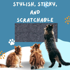 Pets Scratching Mat🐱🐶Protect Furniture